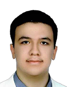 Hamed Ghaffariaghdas