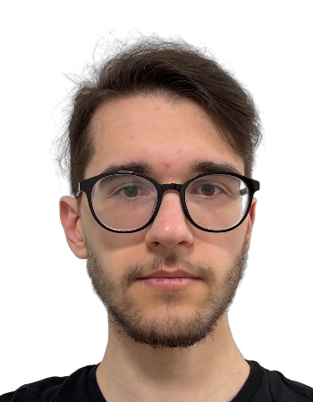 Luca Perju Verzotti