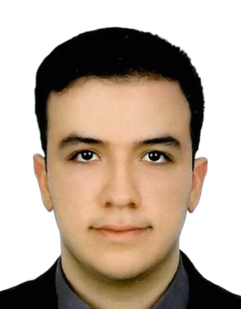 Hamed Ghaffariaghdas