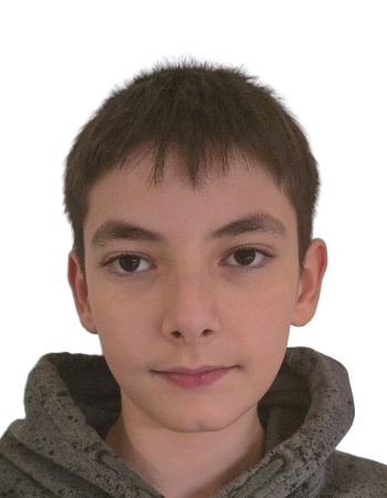 Tudor Păltănea