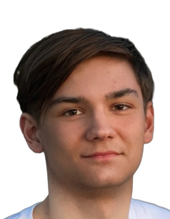 Daniel Alex Mineev